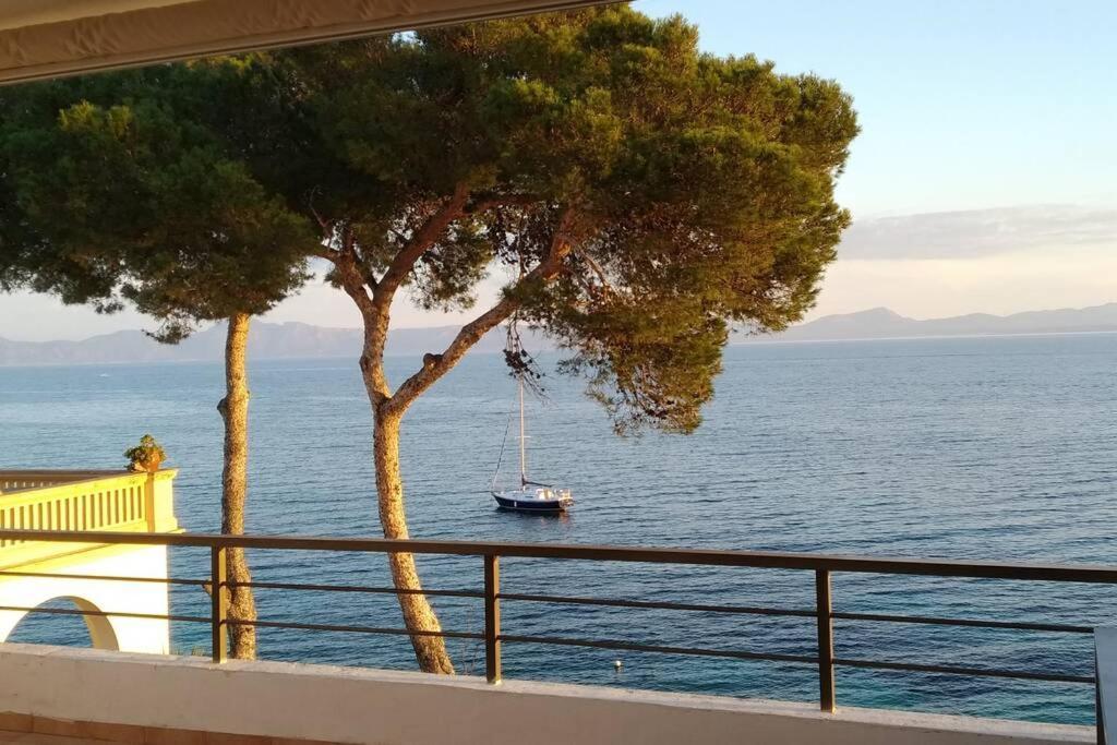 Blau Cel Lejlighed Alcudia  Eksteriør billede